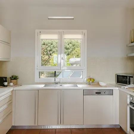 Ribbons By Select * Katelios